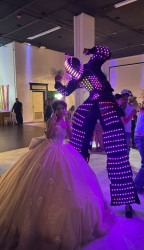 IMG 2678 1754160240 LED ROBOT