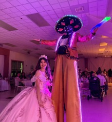 IMG 2691 1754160557 Gold Mariachi Robot
